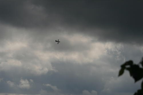IMG 0343