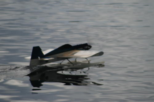 IMG 0352