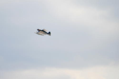 IMG 0357